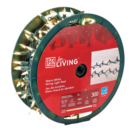 LED Lights Per Box (300 Lights)